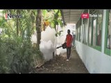 Rescue Perindo Gelar Fogging Gratis di Palembang - iNews Malam 01/05