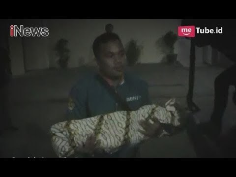 Bejat!! Tak Hanya Aniaya Anak, Ayah Kandung Juga Lakukan Pelecehan Seksual - Special Report 08/05