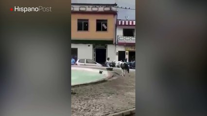 Harto de pasar calor este perro se lanzó a una fuente pública