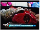 Satgas Pangan Gerebek Gudang Ayam Busuk di Karawang - iNews Pagi 26/05