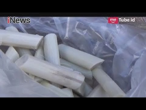 Beginilah Pucuk Rotan yang Menjadi Menu Favorit Buka Puasa Warga Sumut - iNews Malam 29/05