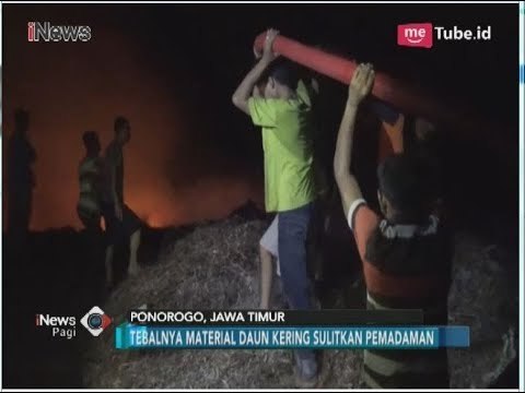 Pabrik Penyulingan Minyak Kayu Putih Milik Perum Perhutani di Ponorogo Terbakar - iNews Pagi 04/06
