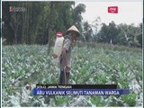 Abu Vulkanik Merapi Ancam Gagal Panen Petani di Solo - iNews Malam 03/06