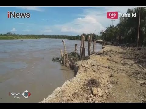 Tanggul Sungai Lariang Jebol, Seluruh Warga Dusun Kalindu Terpaksa Mengungsi - iNews Pagi 11/06