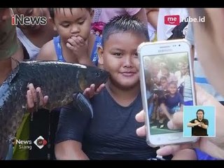 Merasakan Sensasi Berfoto Dicium Ikan Dewa Di Obyek Wisata Cibulan - iNews Siang 17/06