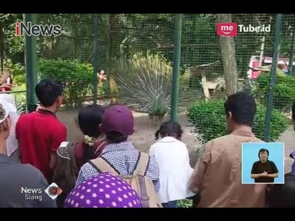 Pengunjung Taman Marga Satwa Ragunan Diprediksi Mencapai 100 Ribu - iNews Siang 16/06