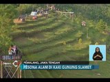 Wisata Bukit Tangkeban, Manjakan Pengunjung dengan Pesona Alam yang Indah - iNews Siang 19/06