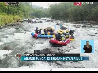 Seru!! Arung Jeram di Tengah Hutan Pinus Sungai Bumi Comal - iNews Siang 23/06