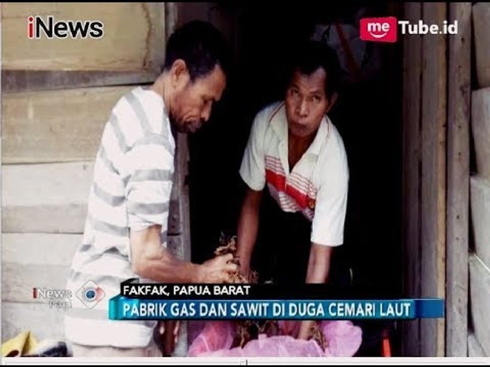 Air Tercemar Limbah, Pembudidaya Rumput Laut Fakfak Gagal Panen - iNews Pagi 27/06