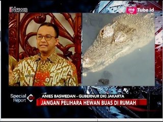 Anies Baswedan Curiga Buaya di Kali Grogol Peliharaan Warga - Special Report 28/06