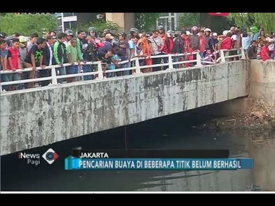 Pencarian 3 Buaya di Kali Grogol Belum juga Membuahkan Hasil - iNews Pagi 29/06