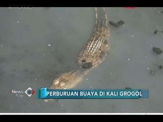 Petugas BKSDA Masih Terus Lakukan Perburuan 3 Buaya di Kali Grogol - iNews Pagi 29/06