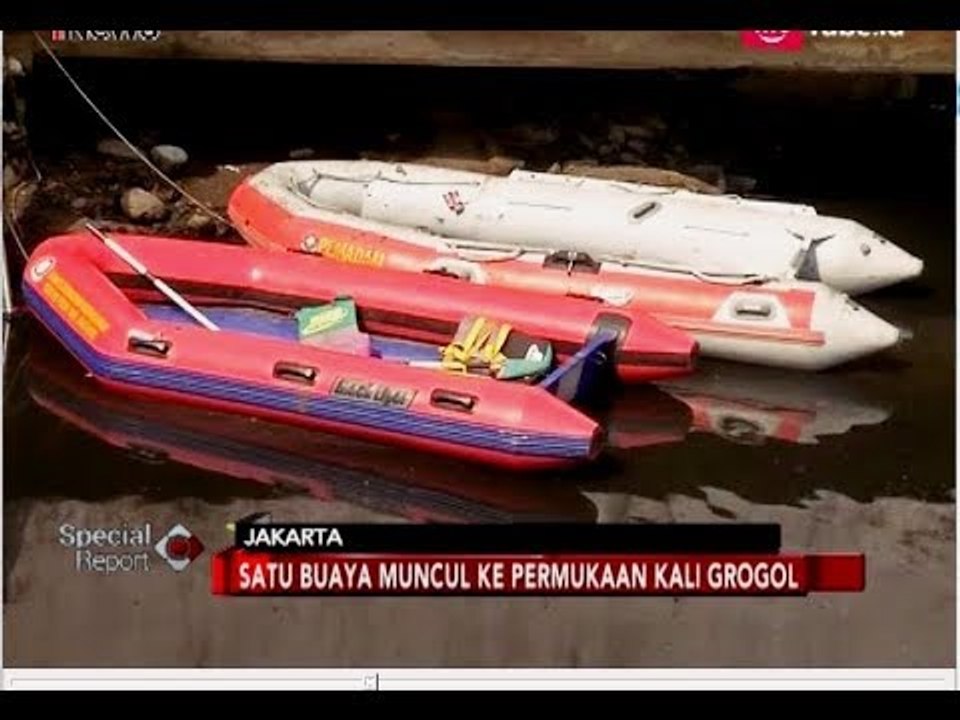Sempat Nyangkut di Jala, Buaya di Kali Grogol Lepas Lagi - Special Report 29/06