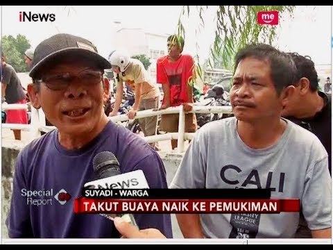 Cerita Warga Heboh Lihat Penangkapan Buaya di Kali Grogol - Special Report 29/06