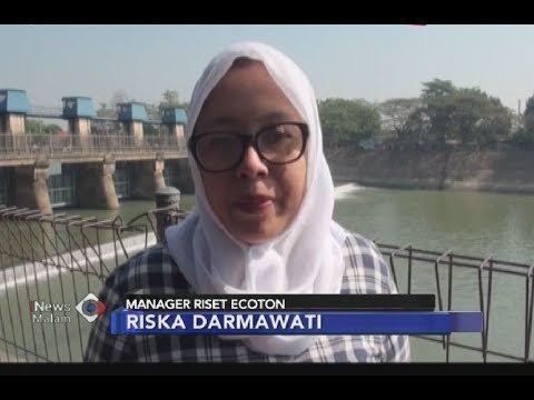 Komentar Manager Riset Ecoton Terkait Ikan Arapaima yang Rusak Ekosistem Sungai - iNews Malam 29/06