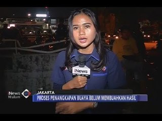 Tải video: Proses Pencarian Buaya di Kali Grogol Selama Tiga Hari Belum Membuahkan Hasil - iNews Malam 29/06