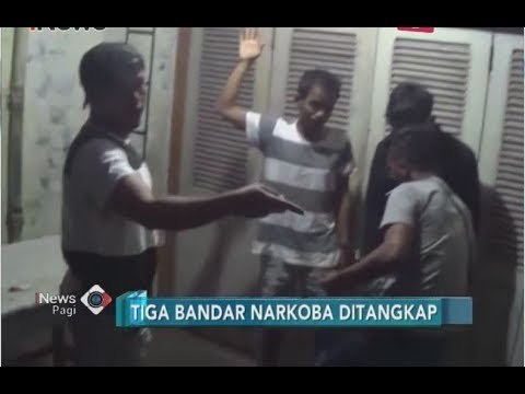 Jadi Bandar Narkoba, Tiga Mahasiswa di Padang Dibekuk Polisi - iNews Pagi 02/07