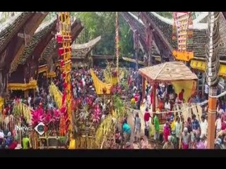 Explore Pesona Adat Istiadat dan Tradisi Tana Toraja - iNews Pagi 07/07