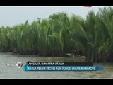 Polemik Lahan Mangrove Beralih Perkebunan Kelapa Sawit Tak Temukan Titik Terang - iNews Pagi 09/07
