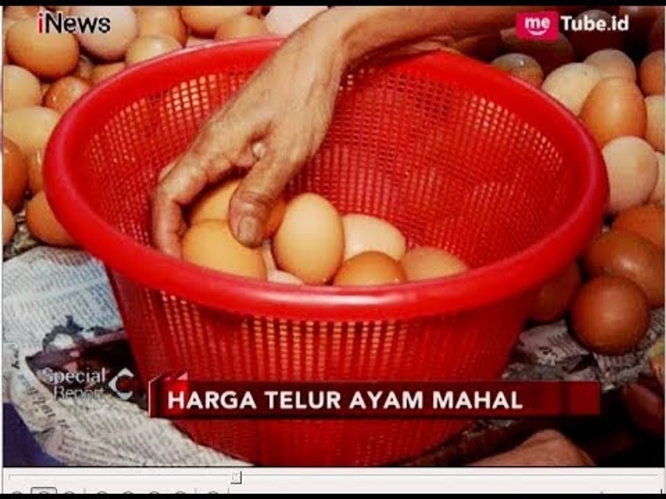 Mencekik!! Harga Telur Ayam Tembus Rp30 Ribu Per Kilogram - Special Report 10/07