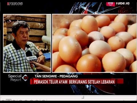 Harga Eceran Telur Ayam Mencapai Rp28 Ribu Per Kilogram - Special Report 10/07