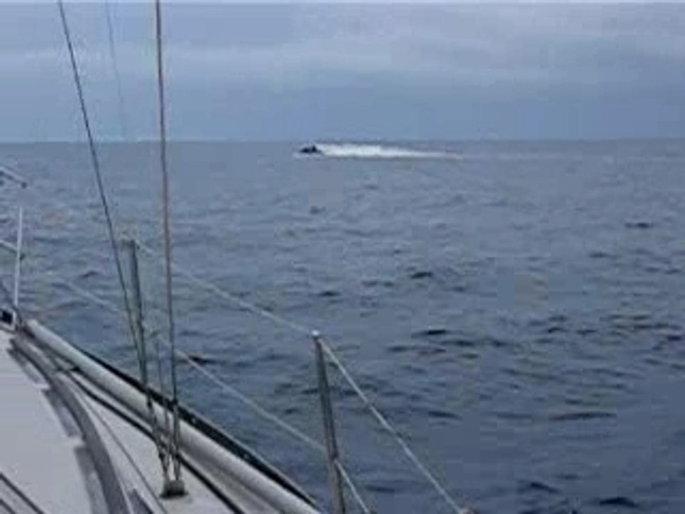 Cap d'agde aout 2006 117