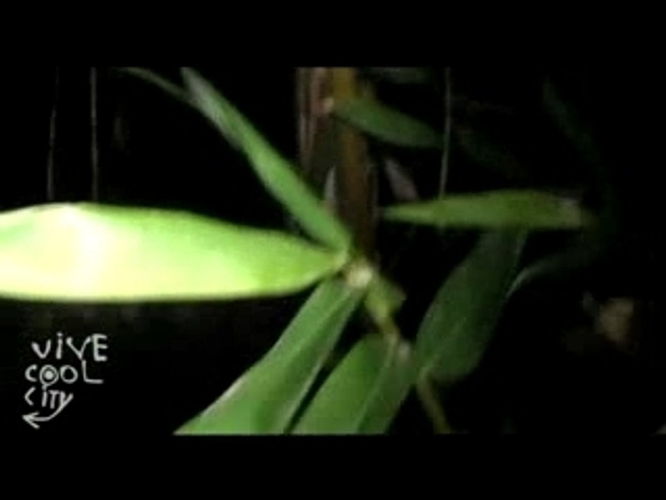 THE SECRET GARDEN PART 2: GETTING IN