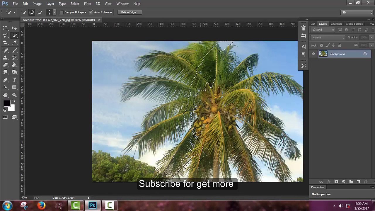 How to clipping path a Critical image-Remove Background Adobe Photoshop Tutorial