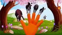 Cow Finger Family Nursery Rhymes  Dog Cartoon Finger Family Songs   Cat Cartoons