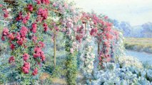 Mille fleurs, Polka francaise, Op. 4a - Josef Strauss