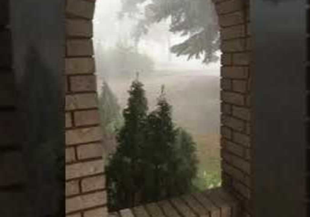 Tree Falls During Storm in Sudbury, Ontario