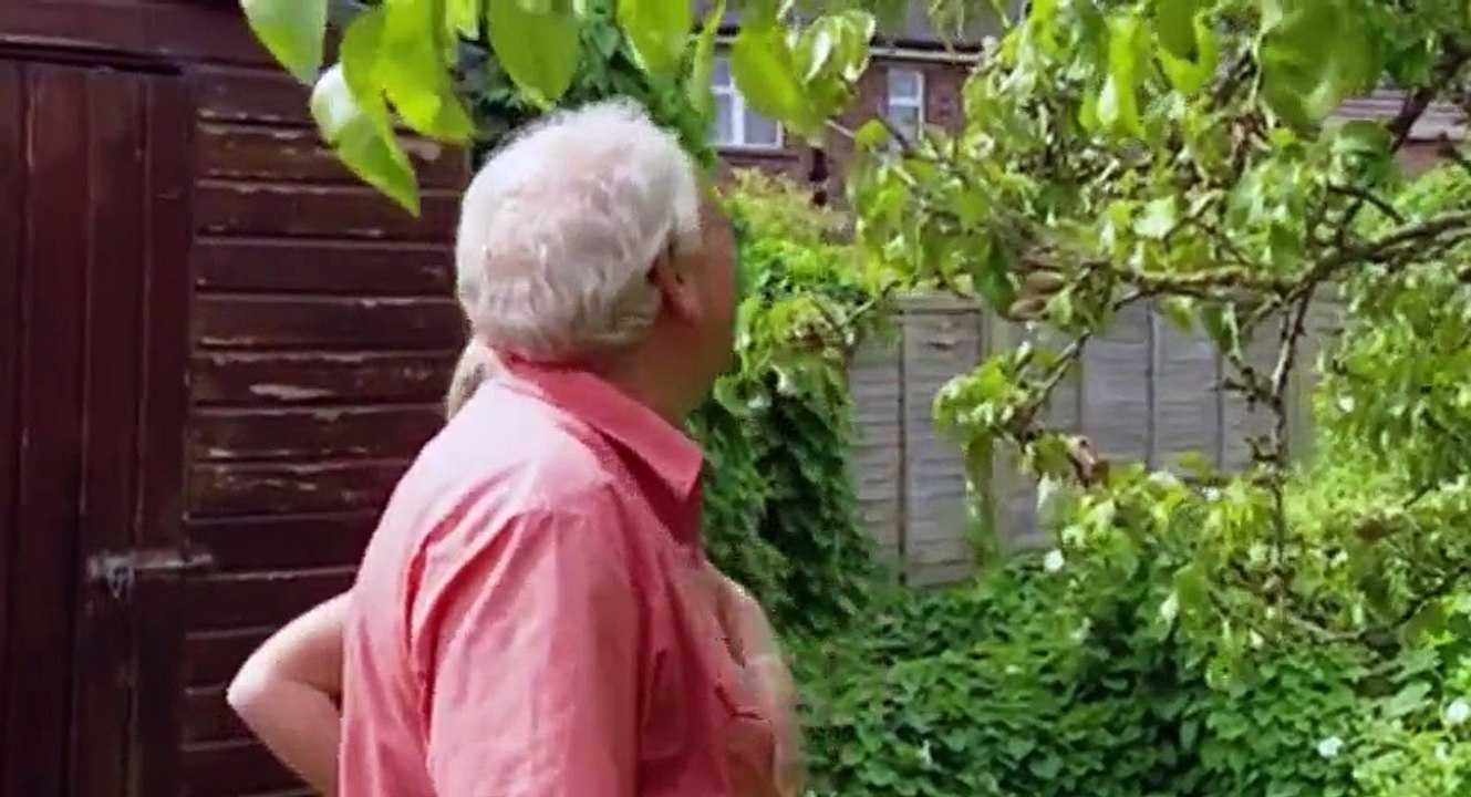Homes Under the Hammer S13 - Ep40 26th June, 2009 - Part 01 HD Watch