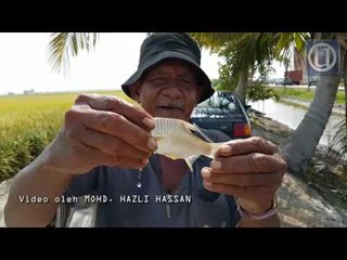 [PRK P.093] Mazlan mahu jumpa YB Budiman