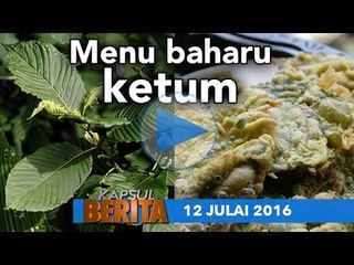 Kapsul Berita 12 Julai 2016