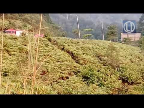 Pemandu maut kereta terjunam ke dalam gaung