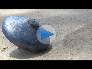 Putaran Gasing tak alah dek zaman