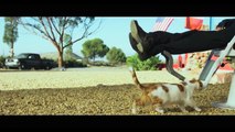 IL MIO NOME È THOMAS | Trailer Ufficiale del nuovo film di Terence Hill