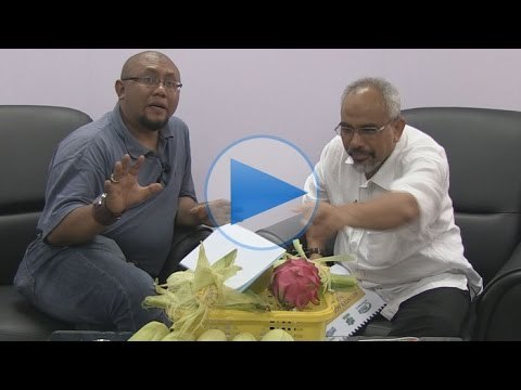 Sembang Online Bersama Timbalan Ketua Pengarah (pembangunan) FAMA Mansor Omar