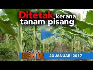KAPSUL BERITA 23 JAN. 2017