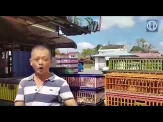 Kecurian ayam semakin menjadi-jadi di Pasar Besar Mentakab