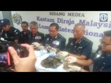 Kastam patahkan penyeludupan sisik tenggiling bernilai RM3.69 juta