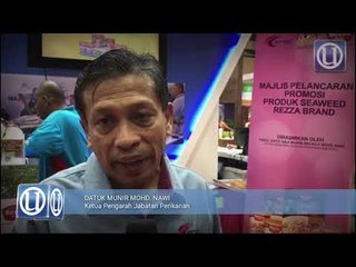 Penyertaan golongan muda di sektor perikanan terhad