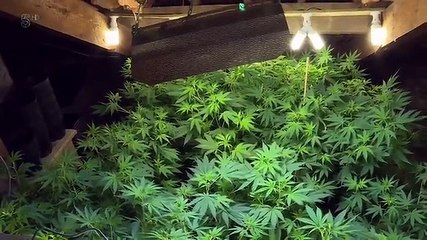 Police Interceptors S14E04