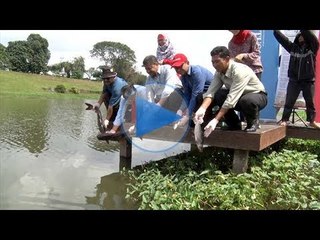 1 tan ikan dilepaskan untuk pertandingan memancing UPM