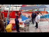 Lapan bot ditahan tunda udang di kawasan pantai