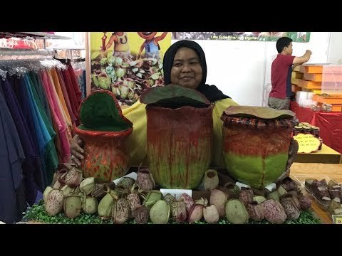 Lemang periuk kera unik tapi sedap