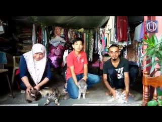 Sanggup berlapar demi kucing terbiar