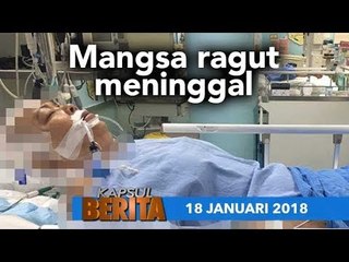 KAPSUL BERITA 18 JANUARI 2018