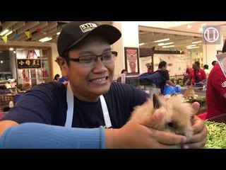 Jangan bawa balik arnab saya...