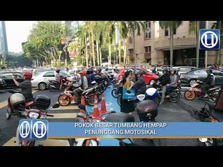 Pokok besar hempap penunggang motosikal